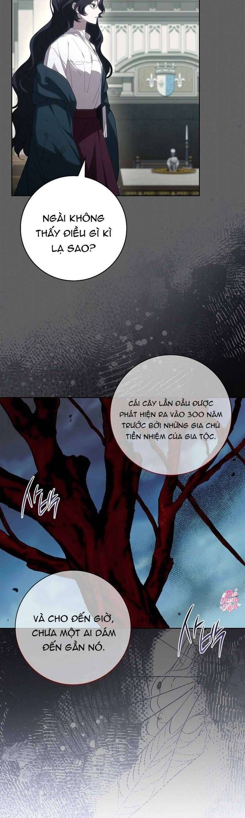 100 Lời Nguyền Của Biệt Thự Elleston: Chapter 3