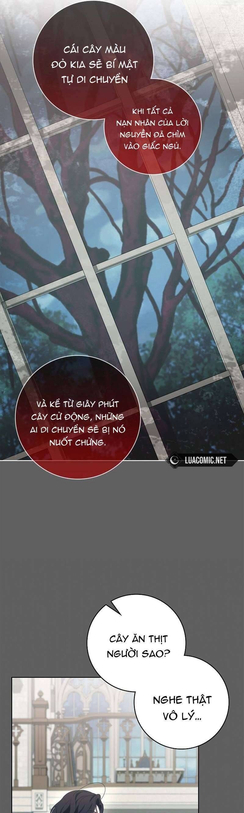 100 Lời Nguyền Của Biệt Thự Elleston: Chapter 3