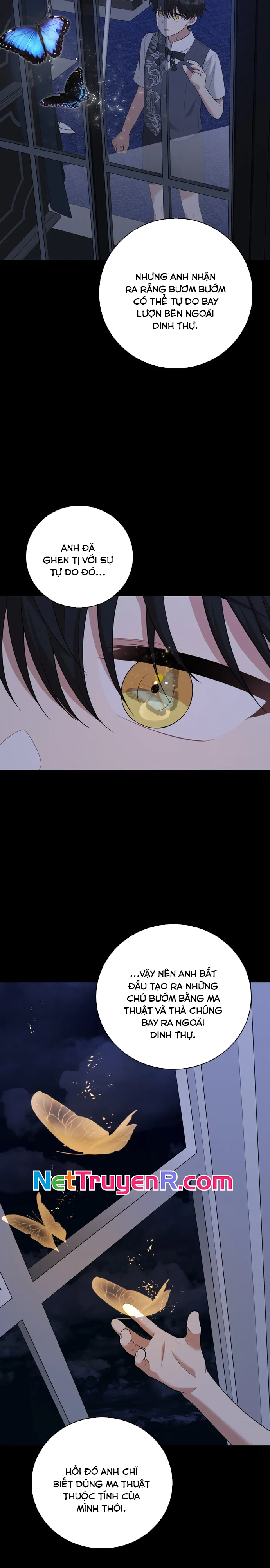 4 Người Anh Trai Nguy Hiểm Của Tôi: Chapter 91