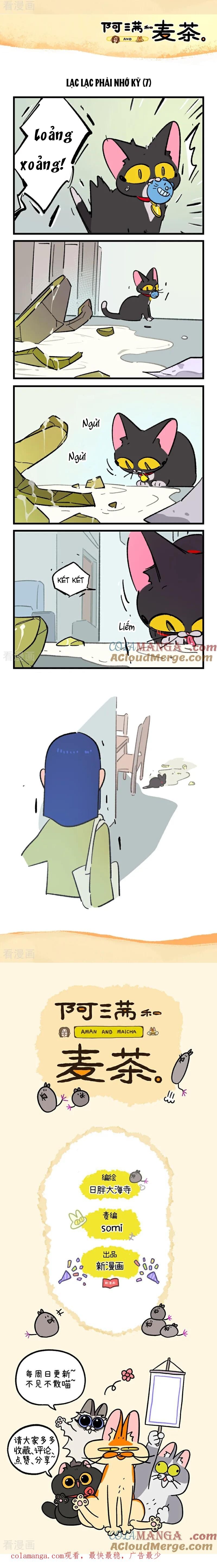 A Mãn Và Mạch Trà: Chapter 244.1