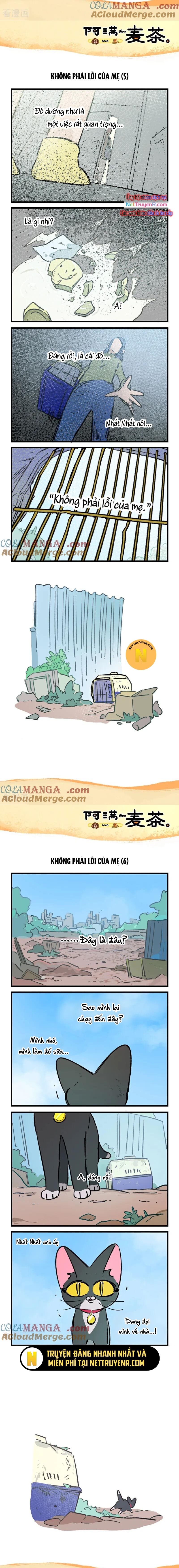A Mãn Và Mạch Trà: Chapter 245.1