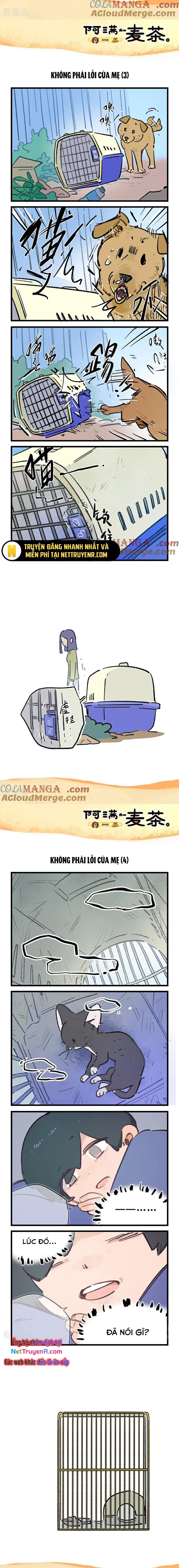 A Mãn Và Mạch Trà: Chapter 245