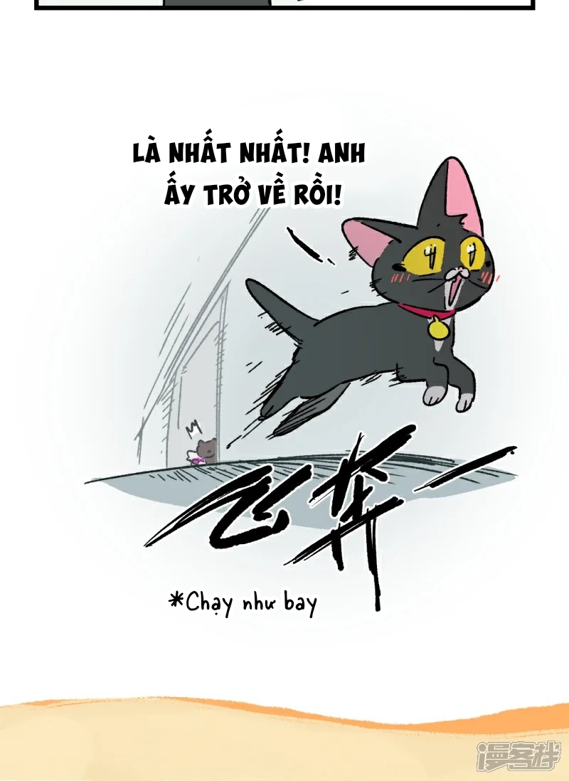A Mãn Và Mạch Trà: Chapter 247.3