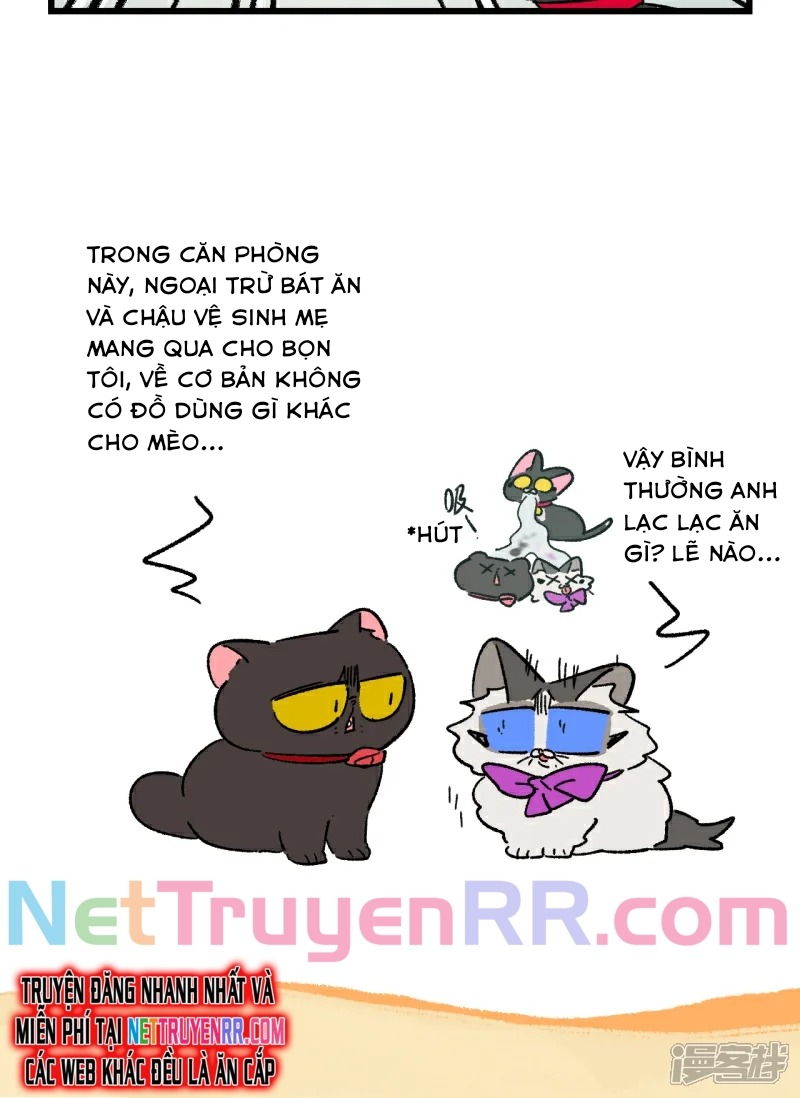 A Mãn Và Mạch Trà: Chapter 247