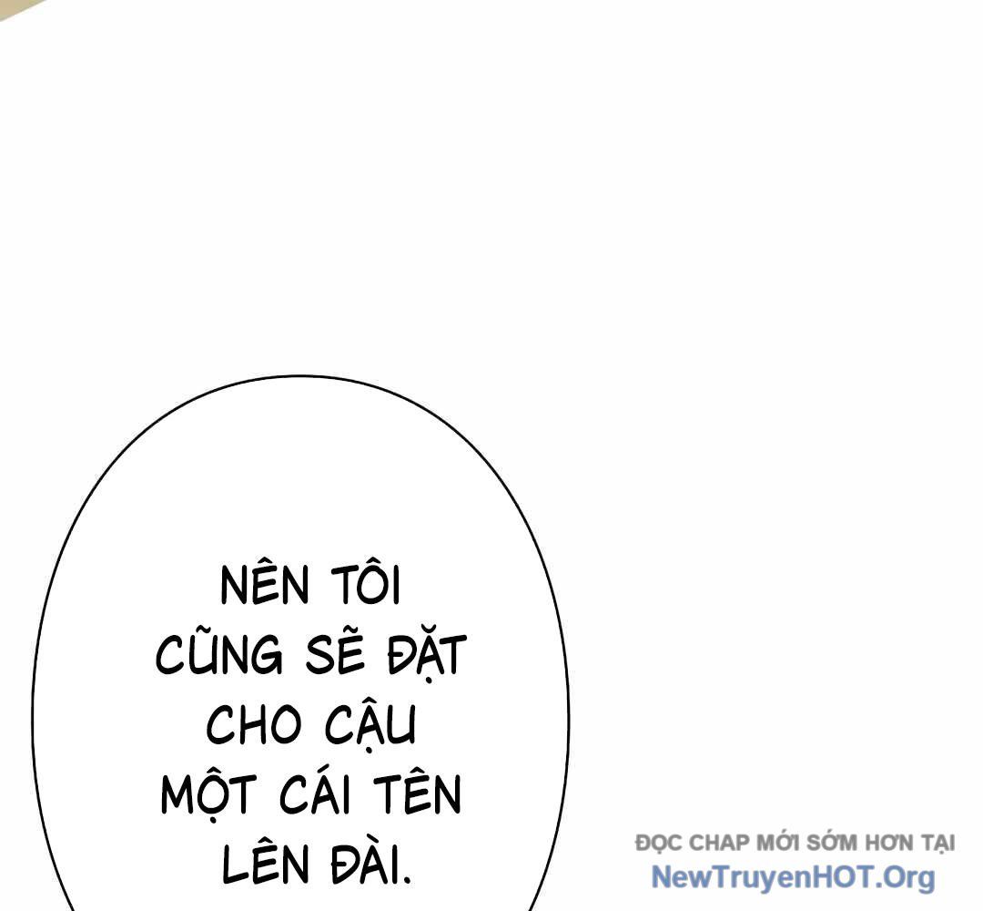 Ác Nhân Lồng Bát Giác: Chapter 31