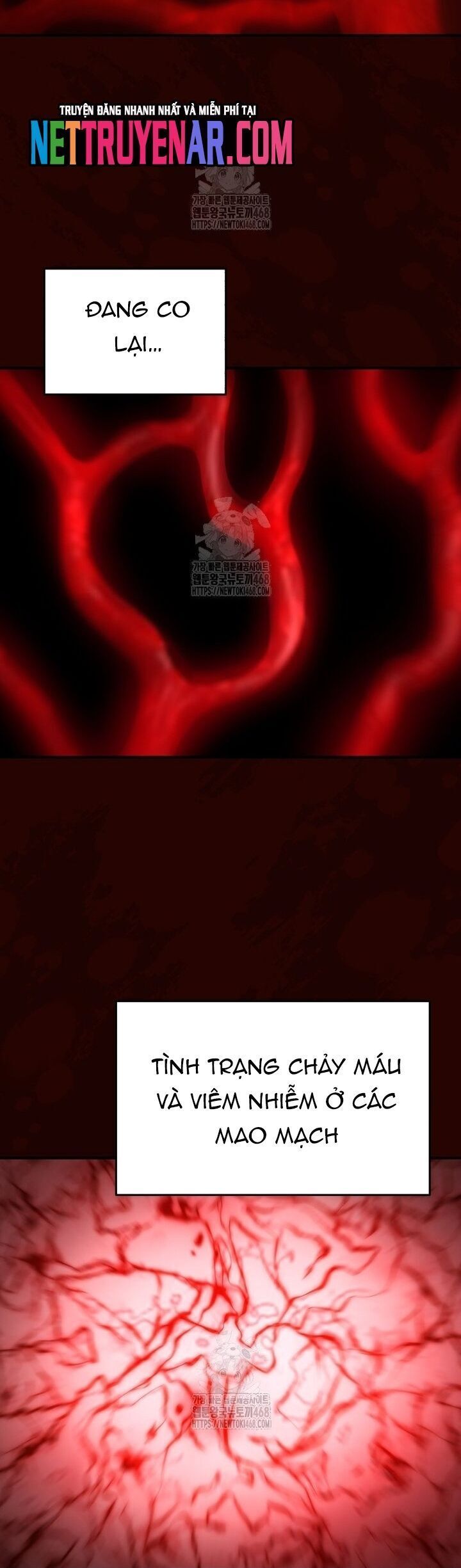 Ác Nhân Lồng Bát Giác: Chapter 47