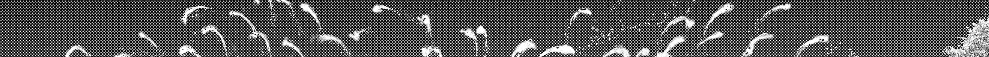 Alice in Borderland: Chapter 2