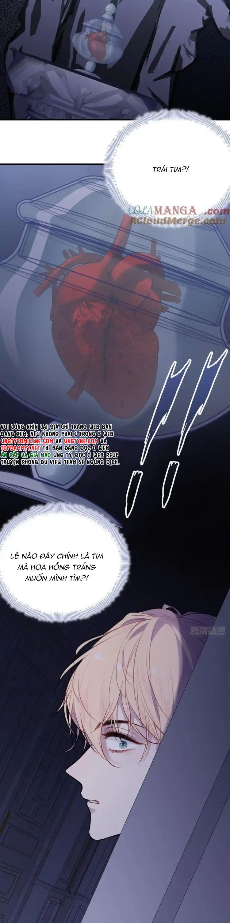 Anh Ấy Chưa Từng Rơi Xuống: Chapter 123