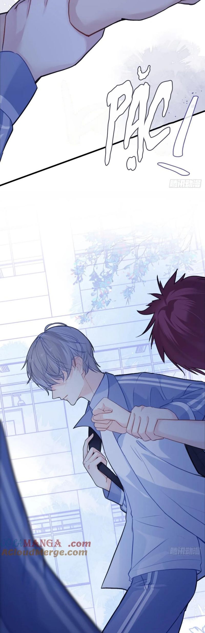 Anh Ấy Chưa Từng Rơi Xuống: Chapter 125