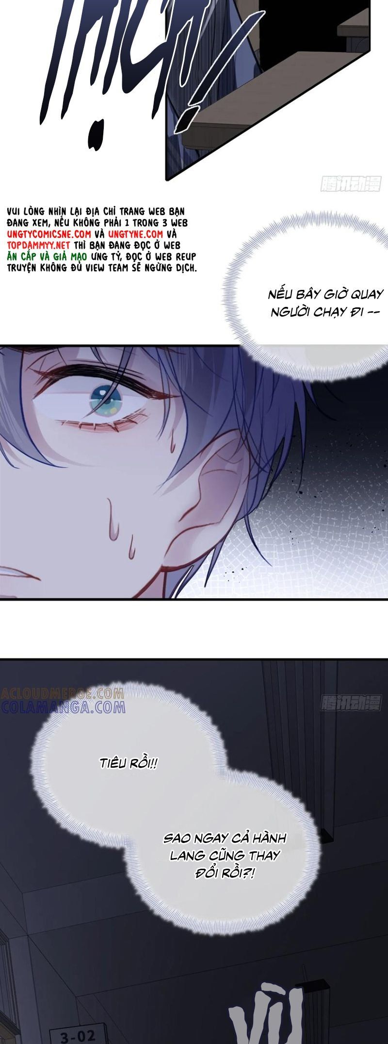 Anh Ấy Chưa Từng Rơi Xuống: Chapter 133