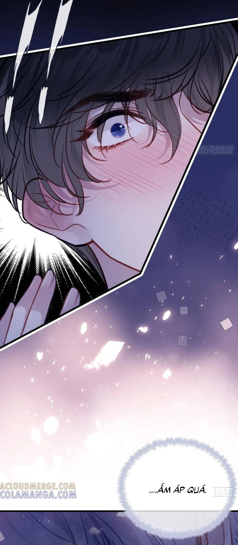 Anh Ấy Chưa Từng Rơi Xuống: Chapter 136