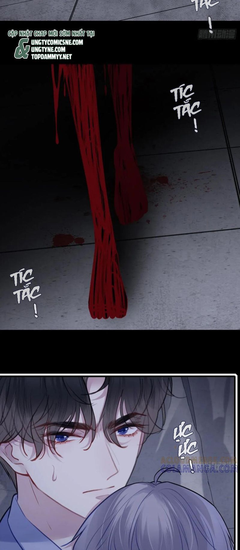 Anh Ấy Chưa Từng Rơi Xuống: Chapter 136