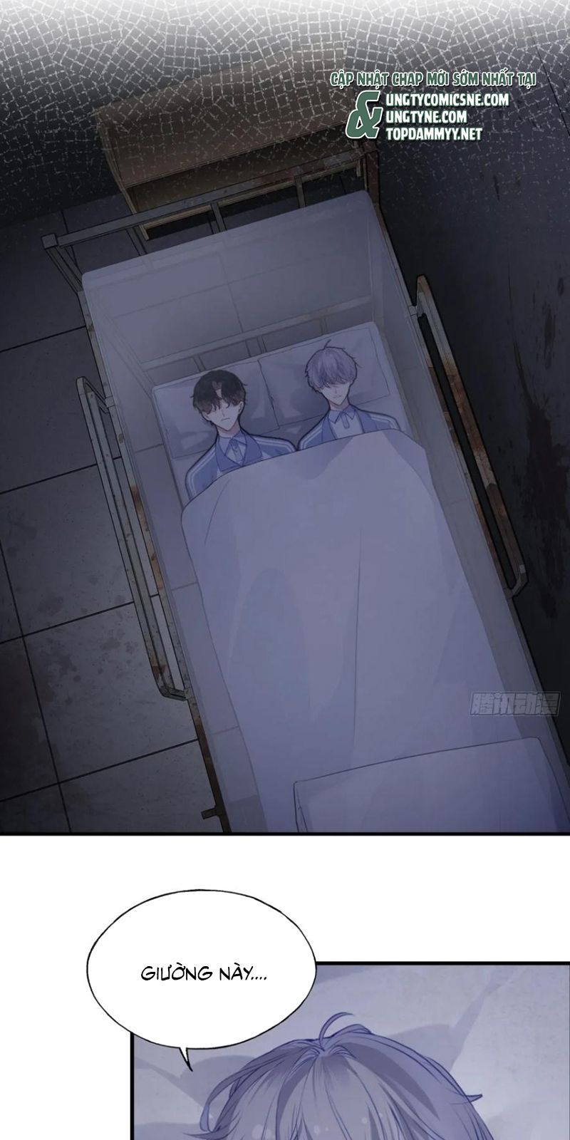 Anh Ấy Chưa Từng Rơi Xuống: Chapter 136