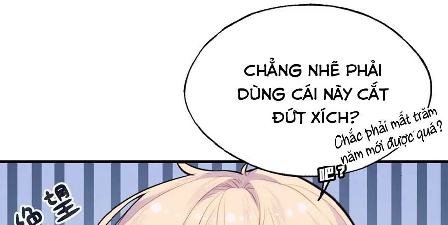 Anh ấy chưa từng sa ngã: Chapter 11