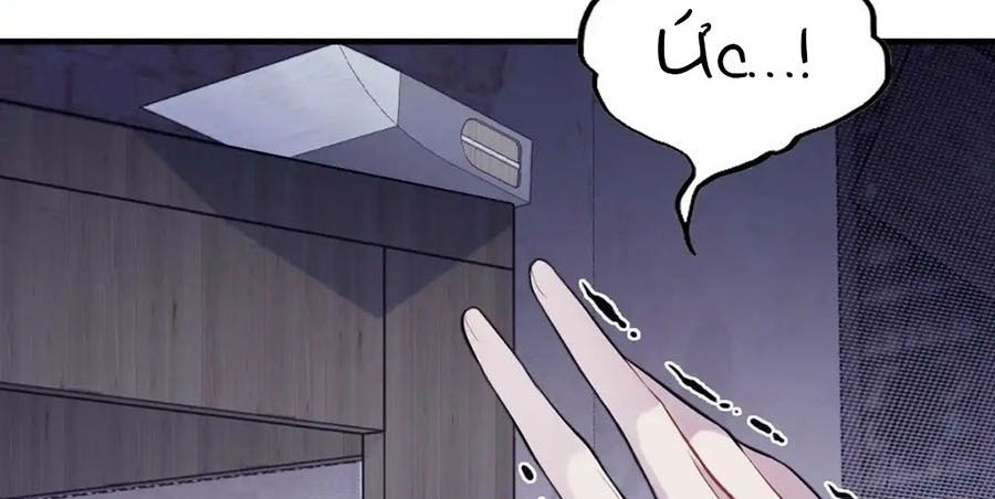 Anh ấy chưa từng sa ngã: Chapter 11