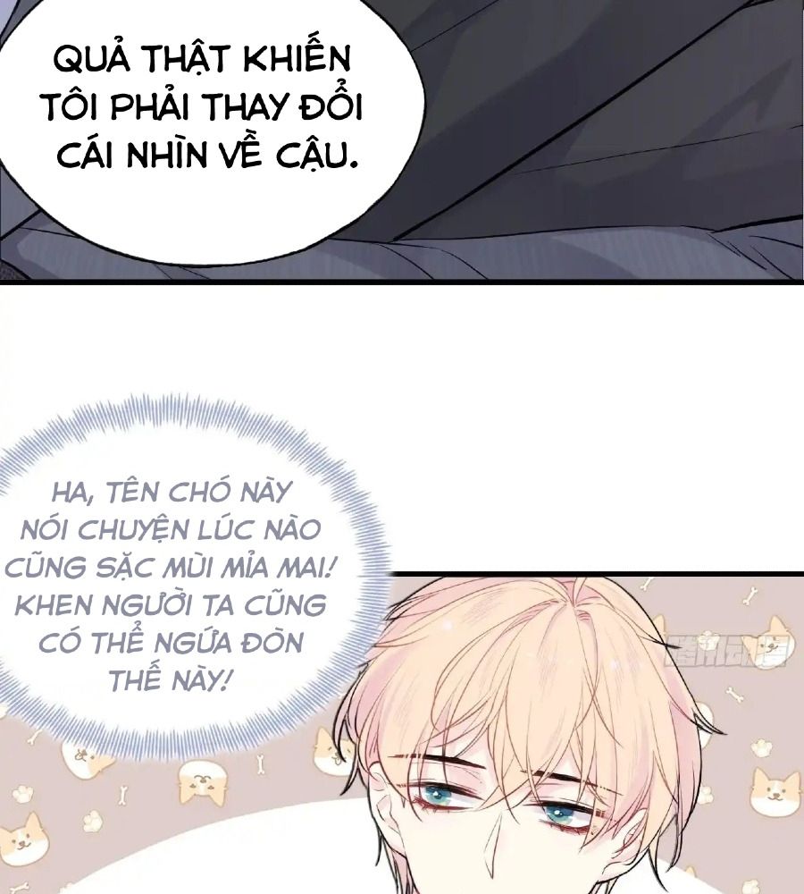 Anh ấy chưa từng sa ngã: Chapter 16