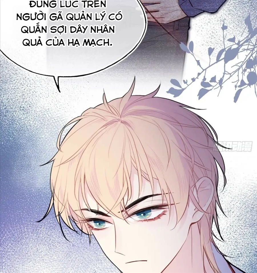 Anh ấy chưa từng sa ngã: Chapter 18