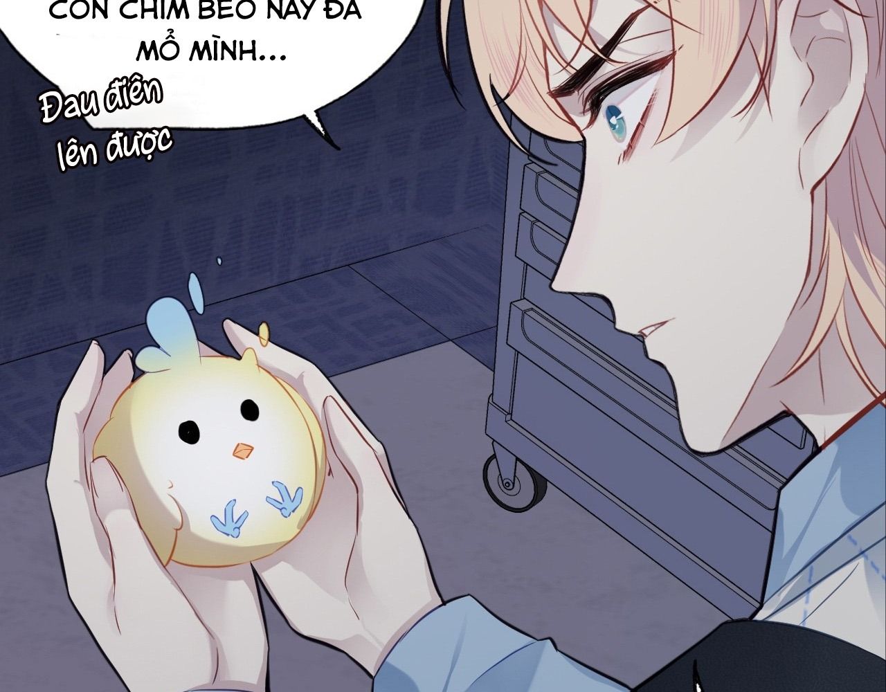 Anh ấy chưa từng sa ngã: Chapter 26