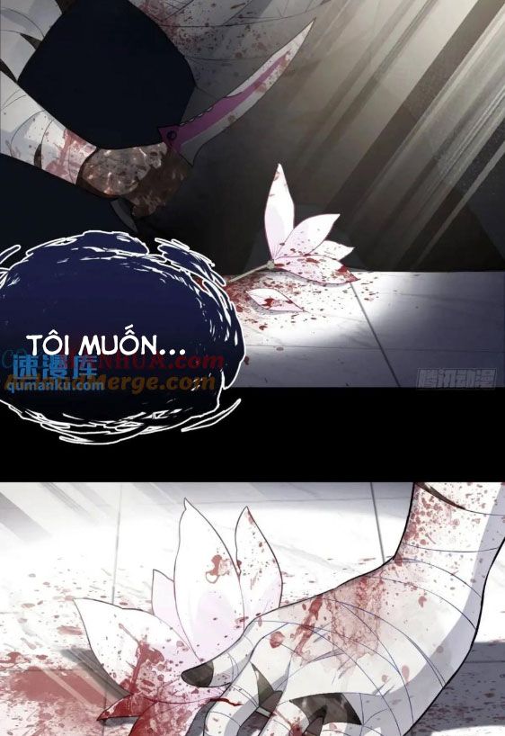 Anh ấy chưa từng sa ngã: Chapter 38