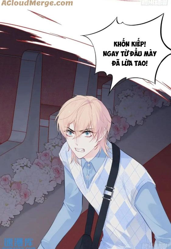 Anh ấy chưa từng sa ngã: Chapter 38