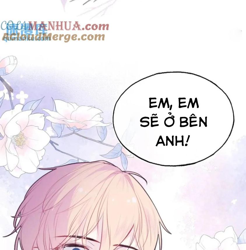 Anh ấy chưa từng sa ngã: Chapter 45