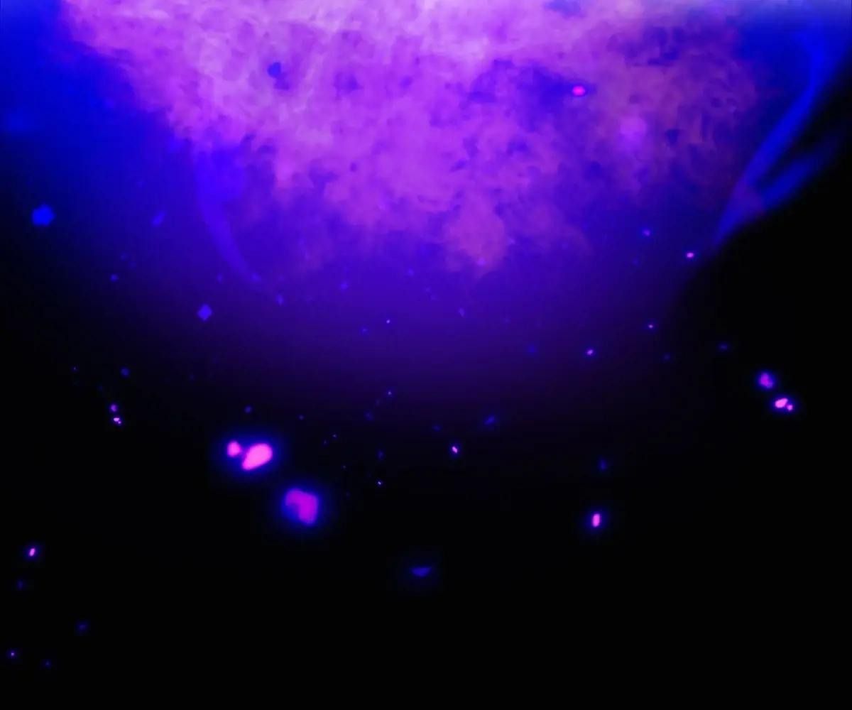 Anh ấy chưa từng sa ngã: Chapter 46