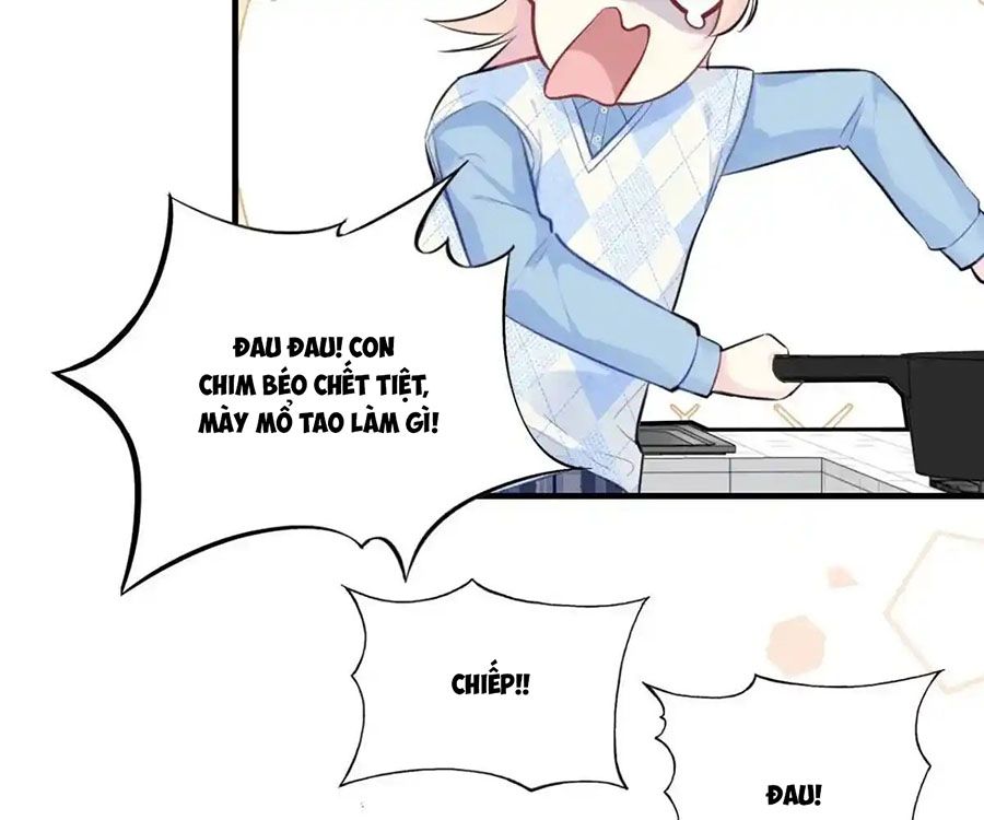 Anh ấy chưa từng sa ngã: Chapter 49