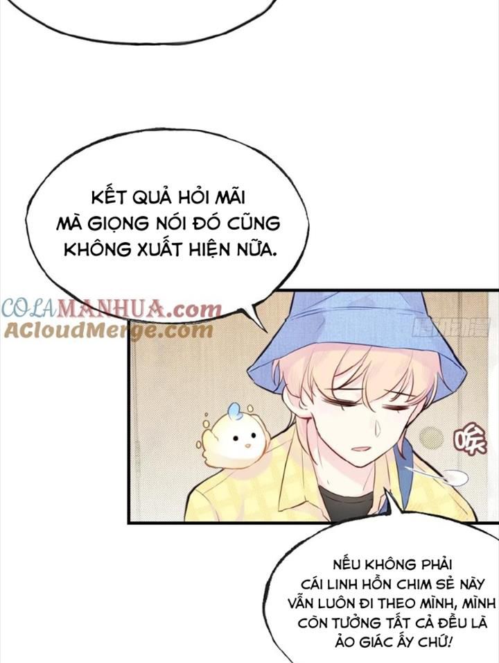 Anh ấy chưa từng sa ngã: Chapter 5