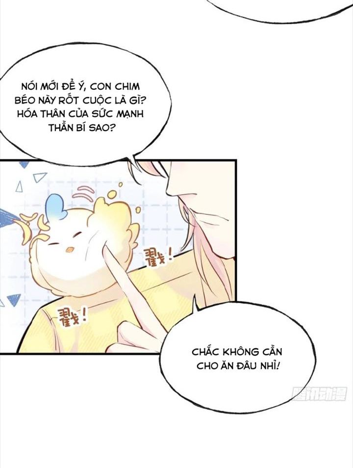 Anh ấy chưa từng sa ngã: Chapter 5