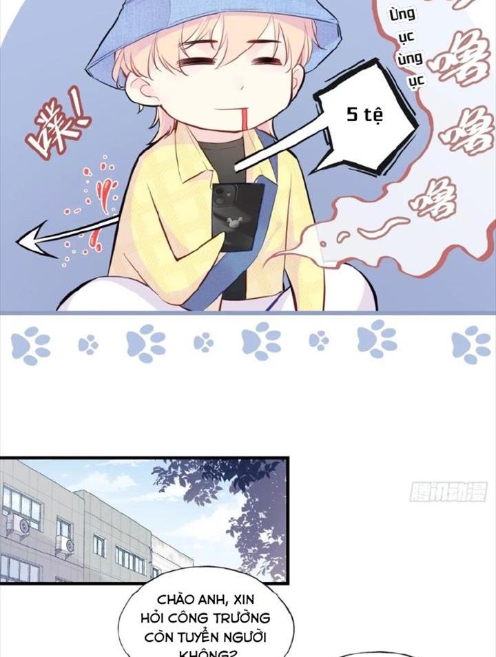 Anh ấy chưa từng sa ngã: Chapter 5