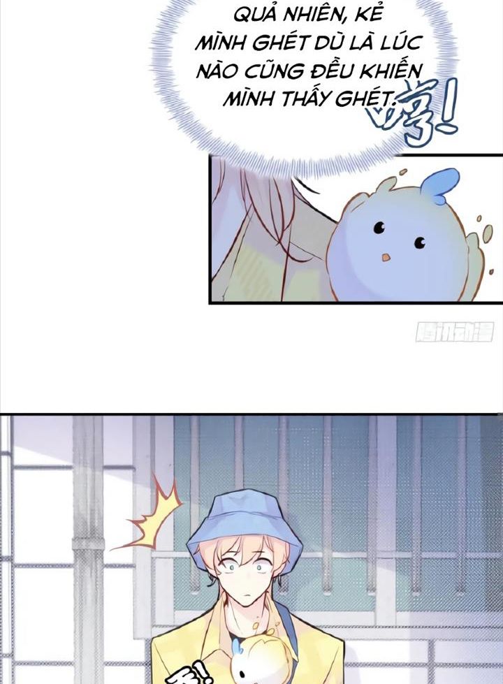 Anh ấy chưa từng sa ngã: Chapter 5