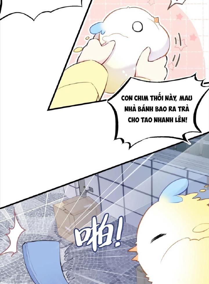 Anh ấy chưa từng sa ngã: Chapter 5