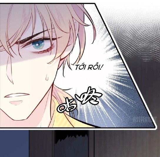 Anh ấy chưa từng sa ngã: Chapter 6