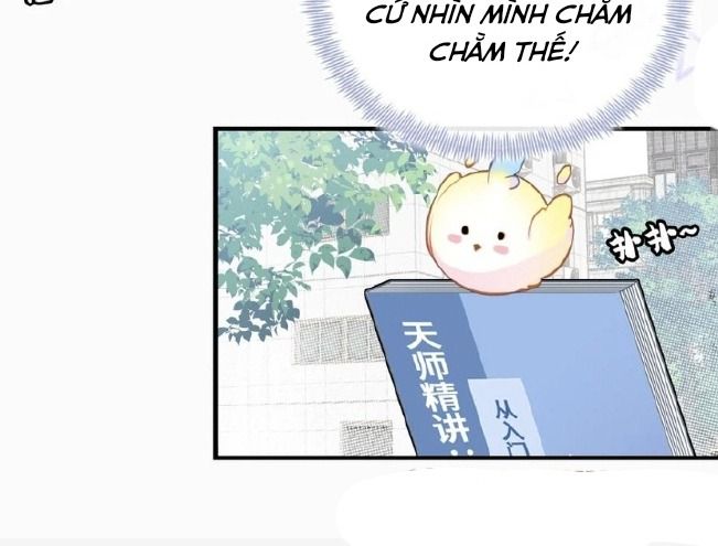 Anh ấy chưa từng sa ngã: Chapter 6