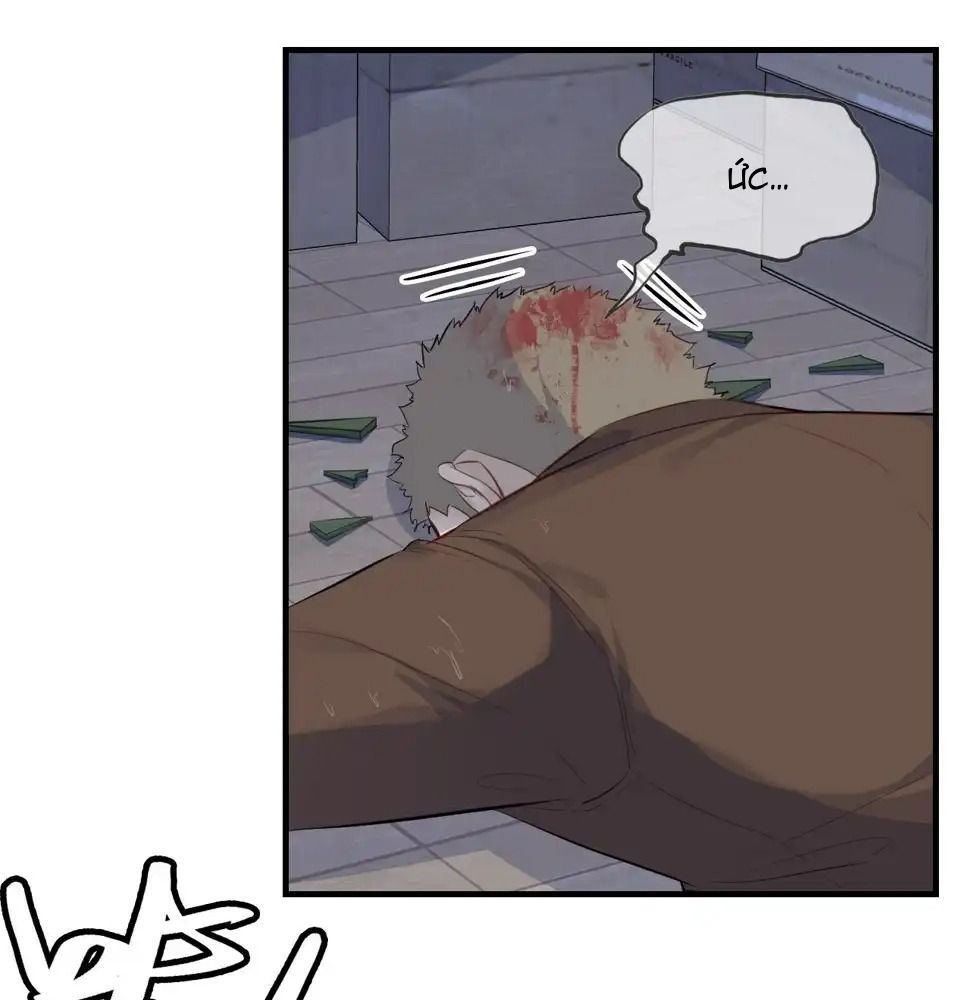 Anh ấy chưa từng sa ngã: Chapter 7