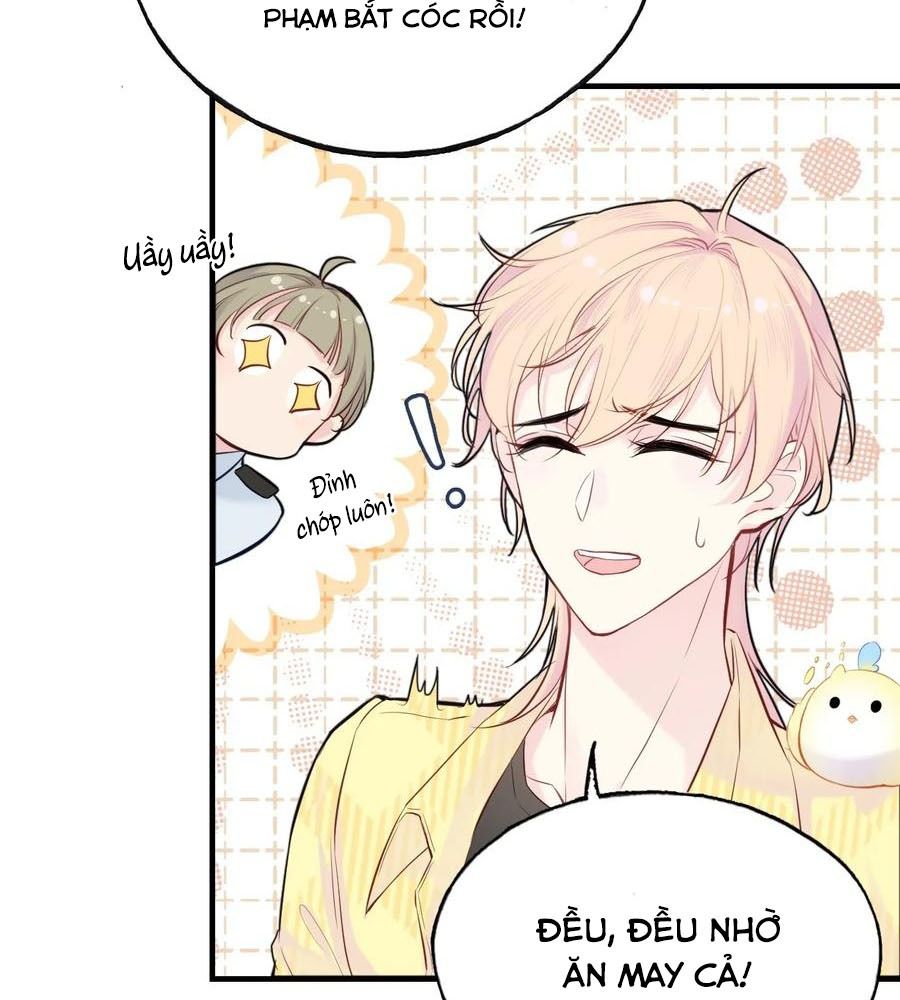 Anh ấy chưa từng sa ngã: Chapter 8