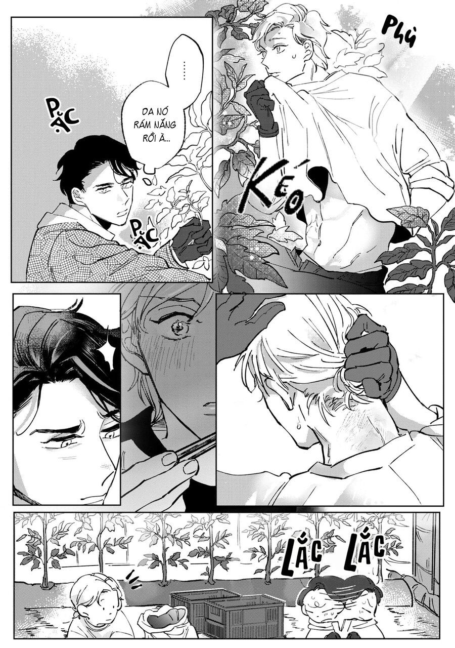 Anh Em Xã Hội Làm Nông: Chapter 1