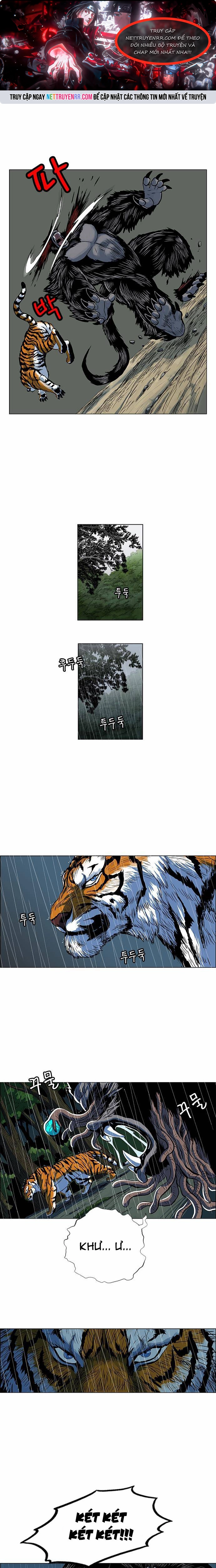 Anh Trai Tôi Là Hổ: Chapter 66