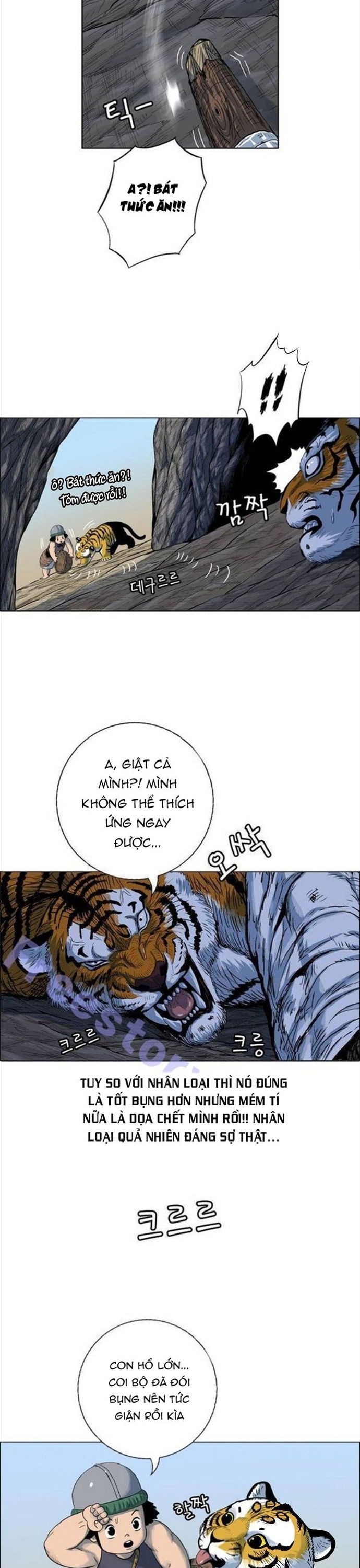 Anh Trai Tôi Là Hổ: Chapter 93