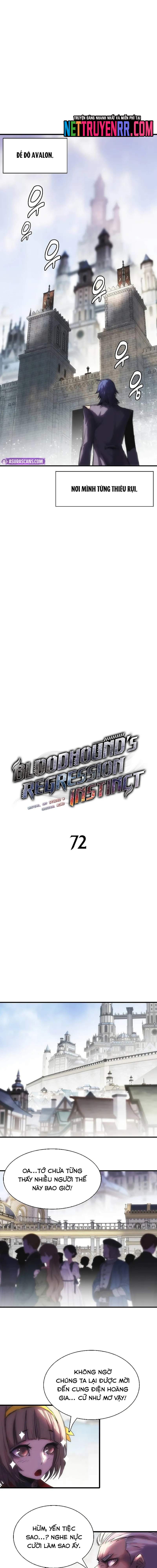 Bản Năng Hồi Quy Của Chó Săn: Chapter 72