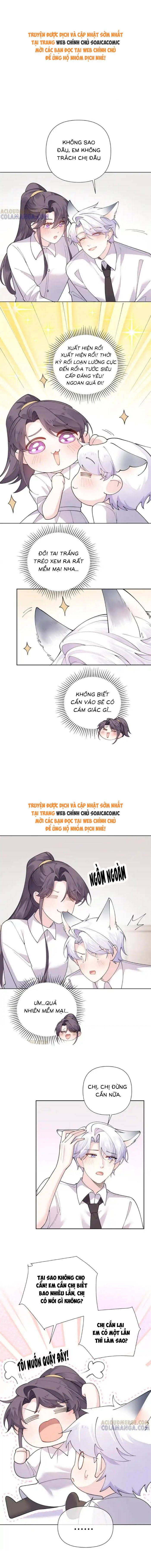 Ban Ngày Đào Hôn, Ban Đêm Lại Được Xin Ôm: Chapter 114
