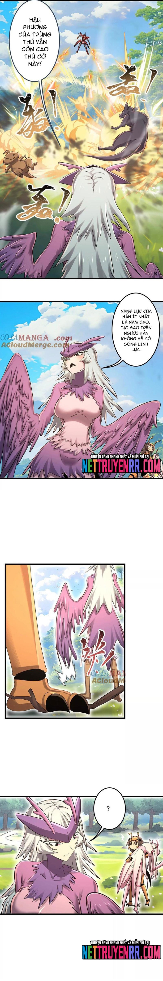 Bản Sao Của Tôi Là Trùng Vương Không Gian: Chapter 47