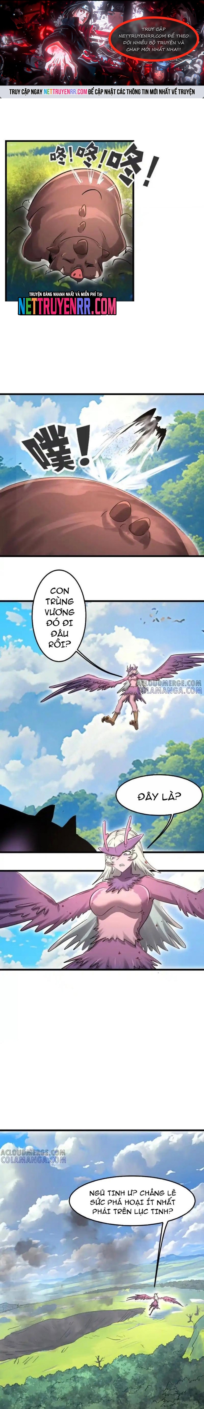 Bản Sao Của Tôi Là Trùng Vương Không Gian: Chapter 50