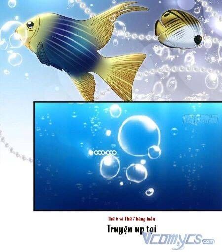 Bảo Bối Tâm Gan Của Lão Đại Xuyên Không Trở Lại Rồi: Chapter 63