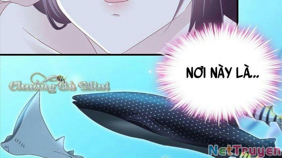 Bảo Bối Tâm Gan Của Lão Đại Xuyên Không Trở Lại Rồi: Chapter 64