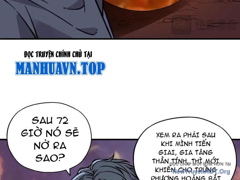 Bắt Đầu Chuyển Chức Tài Thần, Ta Chuyển Hóa Triệu Vạn Thần Sủng: Chapter 31