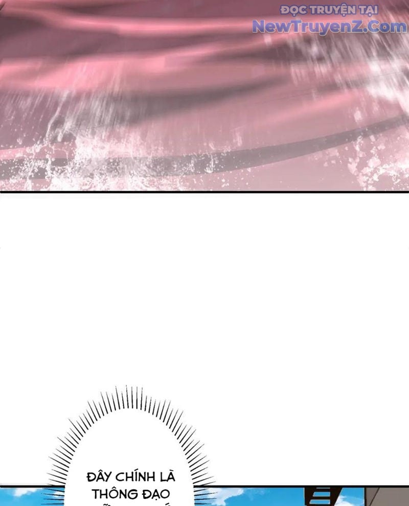 Bắt Đầu Với Trăm Vạn Minh Tệ: Chapter 241