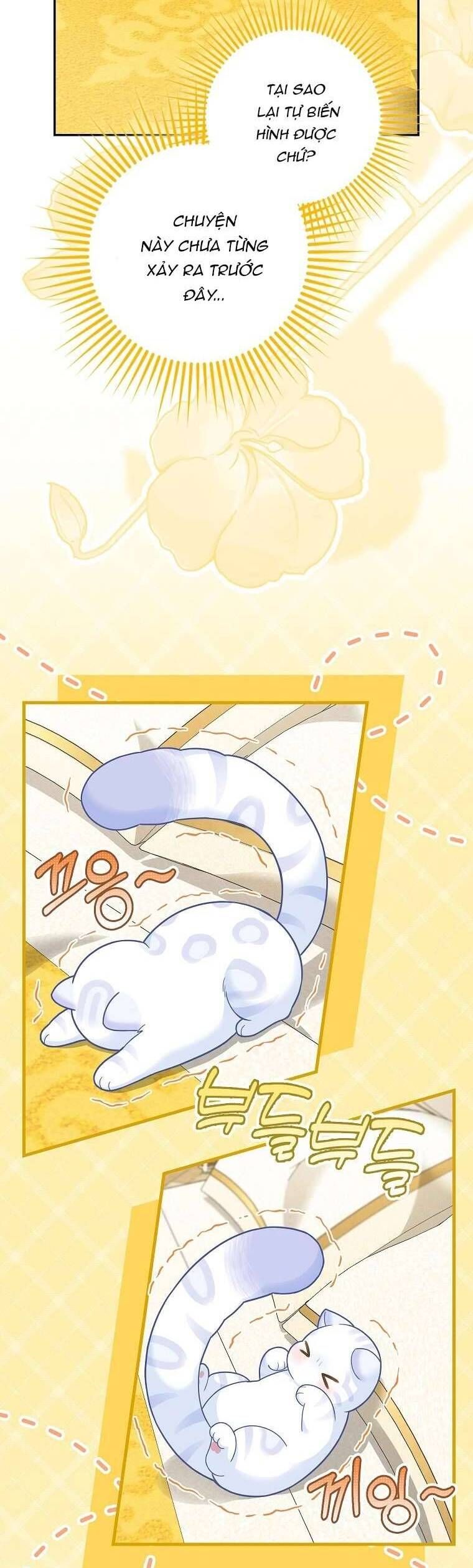 Bé Con Báo Tuyết Của Gia Tộc Báo Đen: Chapter 21