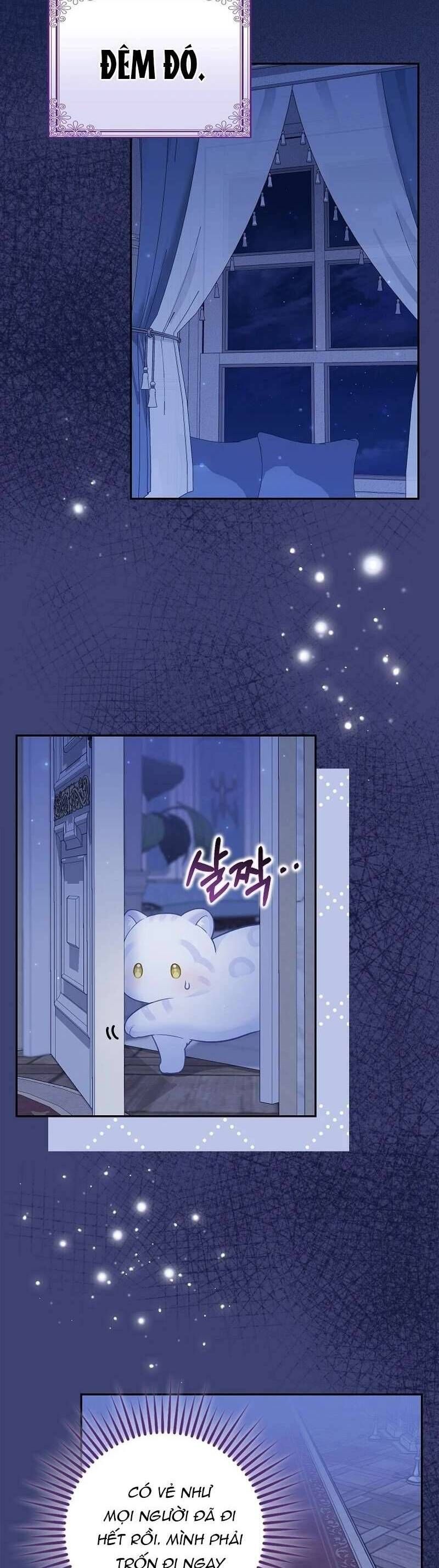 Bé Con Báo Tuyết Của Gia Tộc Báo Đen: Chapter 6