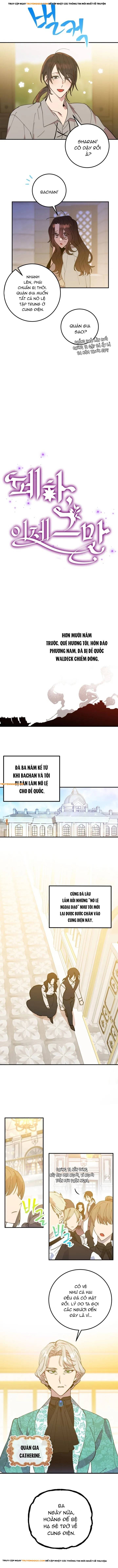 Bệ Hạ, Xin Hãy Dừng Lại: Chapter 1